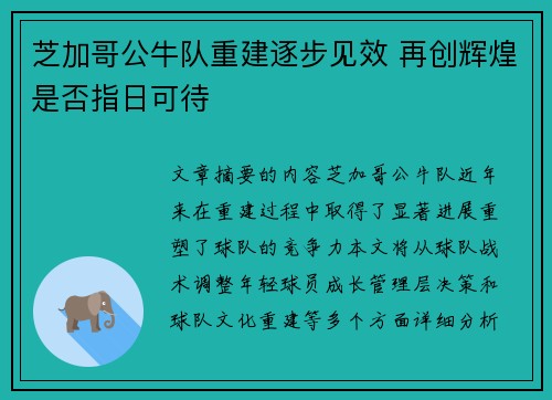 芝加哥公牛队重建逐步见效 再创辉煌是否指日可待