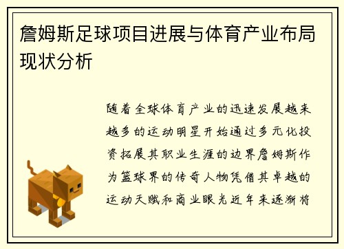 詹姆斯足球项目进展与体育产业布局现状分析